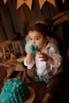 Ann Alzog - farbig - Cakesmash