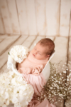 Ann Alzog - farbig - Newborn
