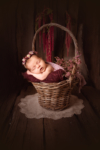 Ann Alzog - farbig - Newborn