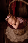 Ann Alzog - farbig - Newborn