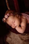 Ann Alzog - farbig - Newborn