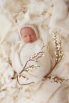 Ann Alzog - farbig - Newborn