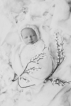Ann Alzog - farbig - Newborn