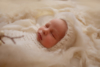 Ann Alzog - farbig - Newborn