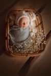 Ann Alzog - farbig - Newborn