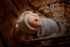 Ann Alzog - farbig - Newborn