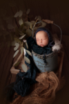 Ann Alzog - farbig - Newborn