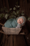 Ann Alzog - farbig - Newborn