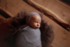 Ann Alzog - farbig - Newborn