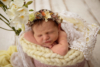 Ann Alzog - farbig - Newborn