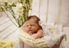 Ann Alzog - farbig - Newborn