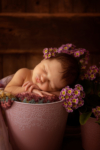 Ann Alzog - farbig - Newborn