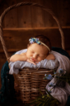 Ann Alzog - farbig - Newborn