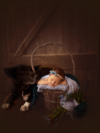 Ann Alzog - farbig - Newborn