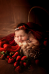 Ann Alzog - farbig - Newborn
