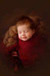 Ann Alzog - farbig - Newborn