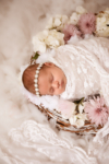 Ann Alzog - farbig - Newborn