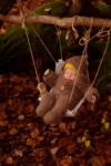 Ann Alzog - farbig - Newborn - Outdoor