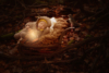 Ann Alzog - farbig - Newborn - Outdoor