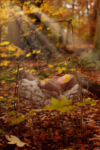 Ann Alzog - farbig - Newborn - Outdoor