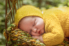Ann Alzog - farbig - Newborn - Outdoor