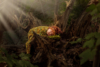Ann Alzog - farbig - Newborn - Outdoor