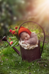Ann Alzog - farbig - Newborn - Outdoor