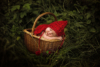 Ann Alzog - farbig - Newborn - Outdoor
