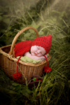 Ann Alzog - farbig - Newborn - Outdoor