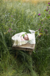Ann Alzog - farbig - Newborn - Outdoor