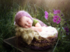 Ann Alzog - farbig - Newborn - Outdoor