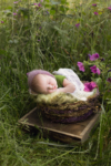 Ann Alzog - farbig - Newborn - Outdoor