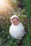Ann Alzog - farbig - Newborn - Outdoor