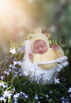 Ann Alzog - farbig - Newborn - Outdoor